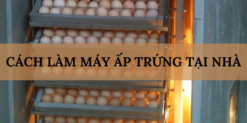 Banner www.vietmos.vn