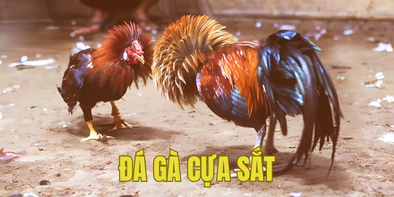 Banner www.vietmos.vn