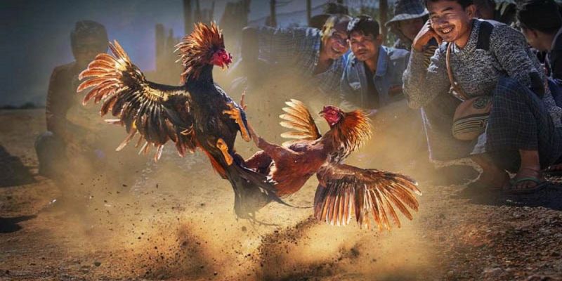 Banner www.vietmos.vn