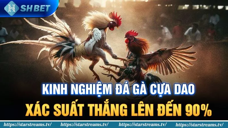 Banner www.vietmos.vn
