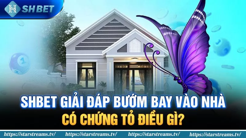 Banner www.vietmos.vn