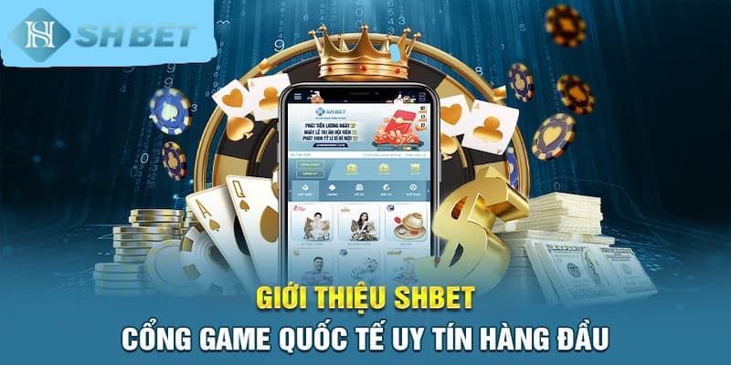 Banner www.vietmos.vn