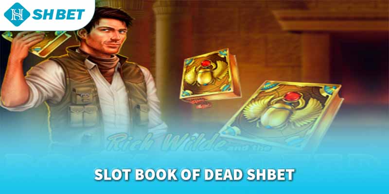 Banner www.vietmos.vn