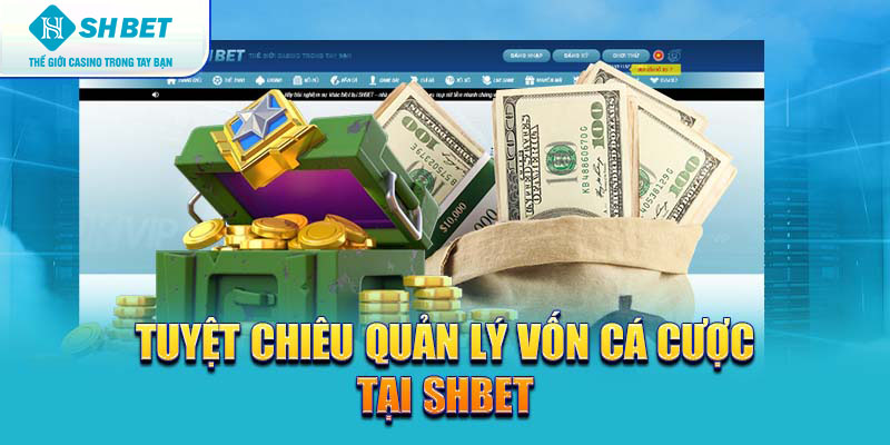 Banner www.vietmos.vn